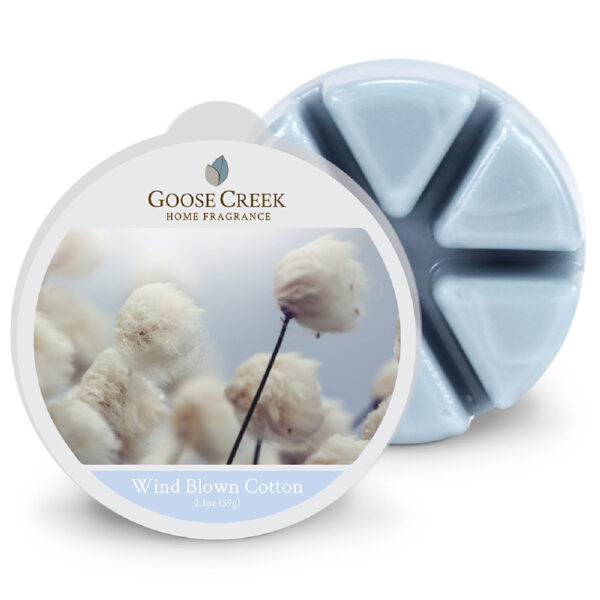 Goose Creek – Szél által kifújt pamut