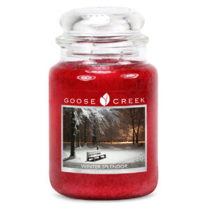 Goose Creek - Téli szépség