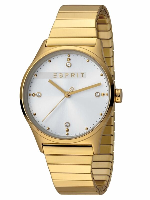 Női karóra Esprit Vinrose ES1L032E0115 - A számlap színe: ezüst