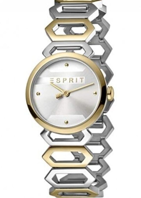 Női karóra Esprit Arc ES1L021M0075 - A számlap színe: ezüst