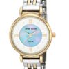 Női karóra Anne Klein AK/3631MPTT - A számlap színe: gyöngyház