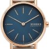 Női karóra Skagen Signatur SKW2837 - Típus: divatos