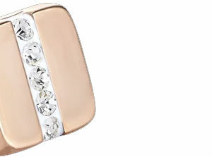 COEUR DE LION 0225/21-1800