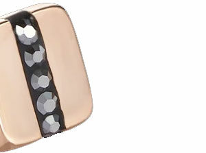 COEUR DE LION 0225/21-1223