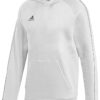 Gyerek pulóver Adidas Core 18 Hoody JR fehér✅ - Adidas