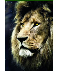 Trefl Puzzle Oroszlán