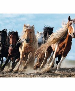 Trefl Puzzle Vágtázó lovak