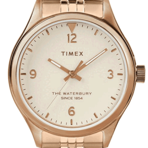TIMEX TW2T36500