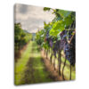 Vászonkép SZŐLŐ_091-12 (modern vászonképek)