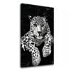 Vászonkép GEPARD 001 (modern vászonképek)