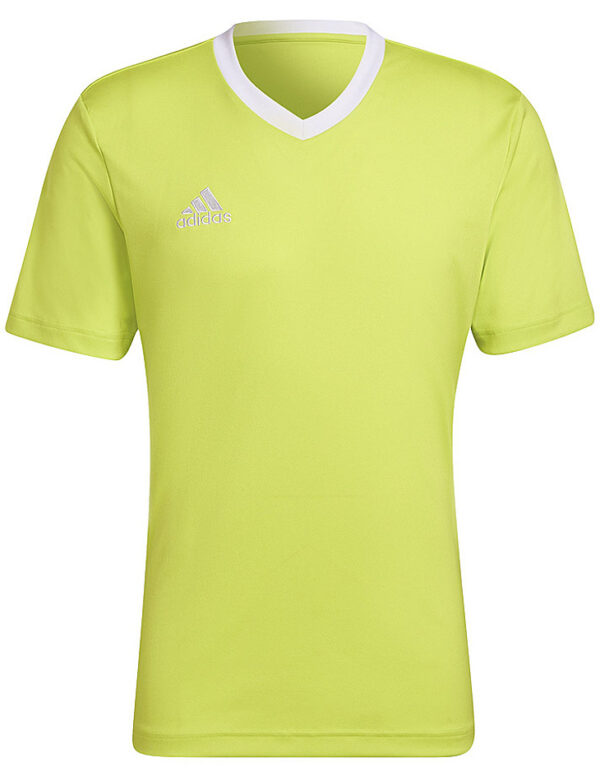 Adidas színes férfi póló✅ - Adidas