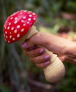 Stresszoldó gomba - galóca