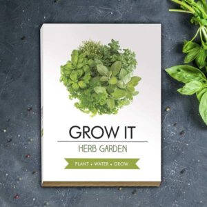 Grow it - Fűszernövény