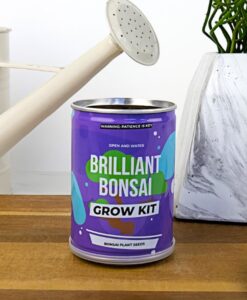 Grow tin - Briliáns bonszai