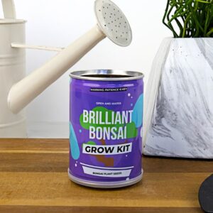 Grow tin - Briliáns bonszai