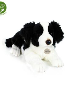 Rappa fekvő Border collie kutyus